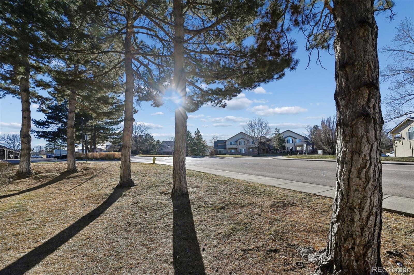 MLS Image #19 for 7336 s xenia circle,centennial, Colorado