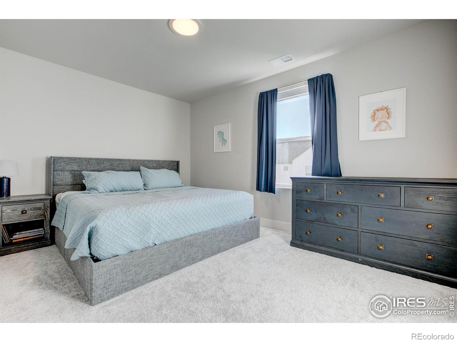 MLS Image #24 for 2933  supercub lane,fort collins, Colorado