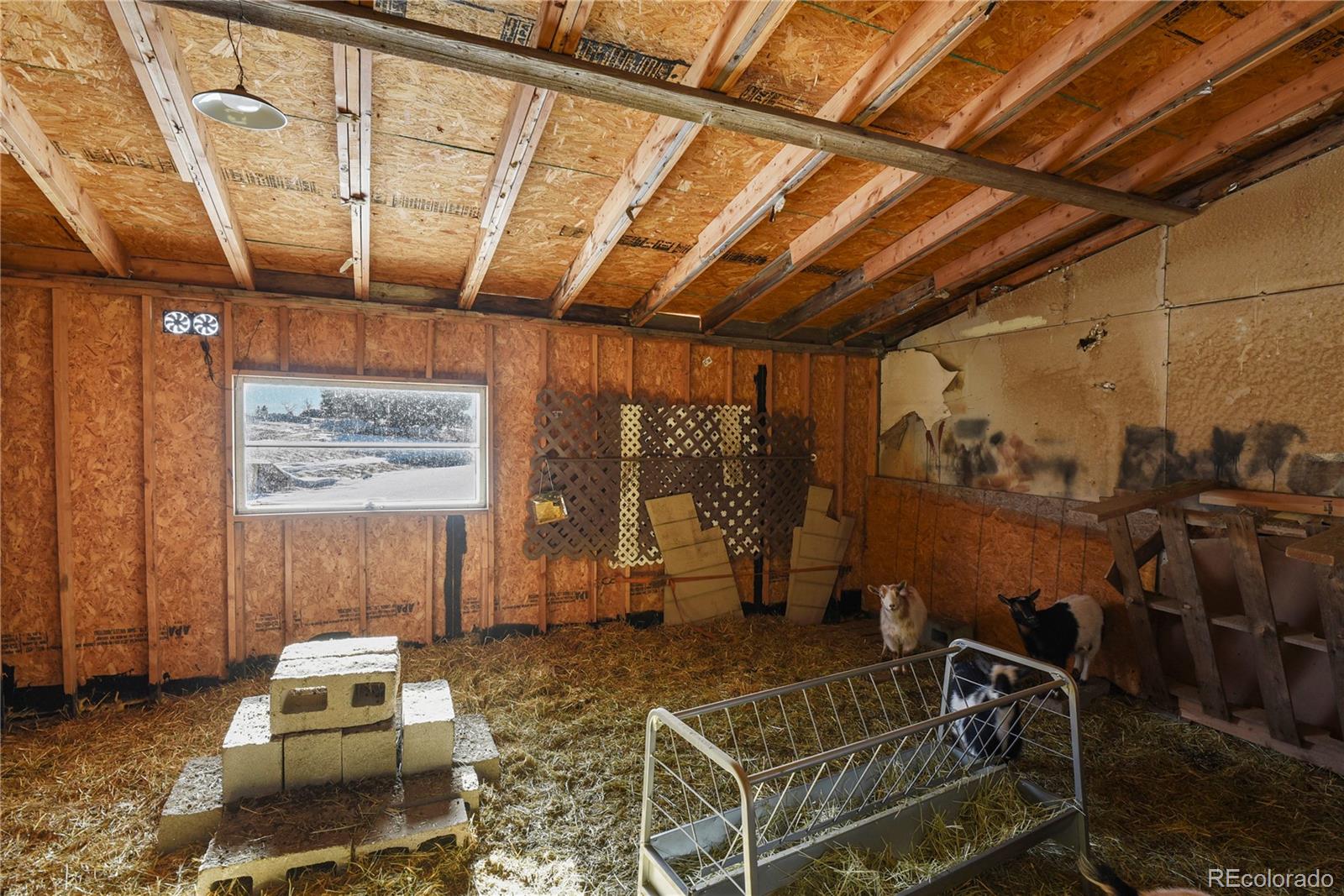 MLS Image #41 for 12557 n ellicott highway,calhan, Colorado
