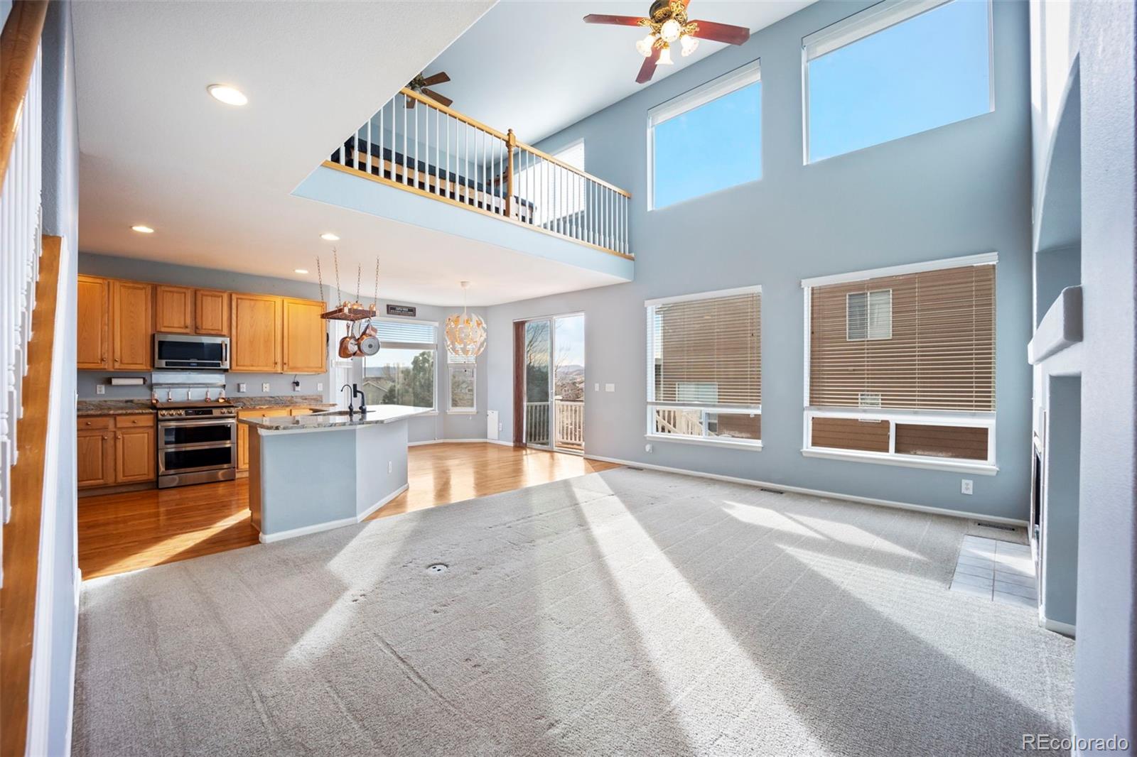 MLS Image #10 for 3921  black feather trail,castle rock, Colorado