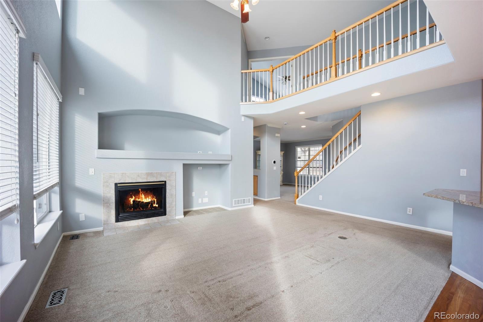 MLS Image #12 for 3921  black feather trail,castle rock, Colorado