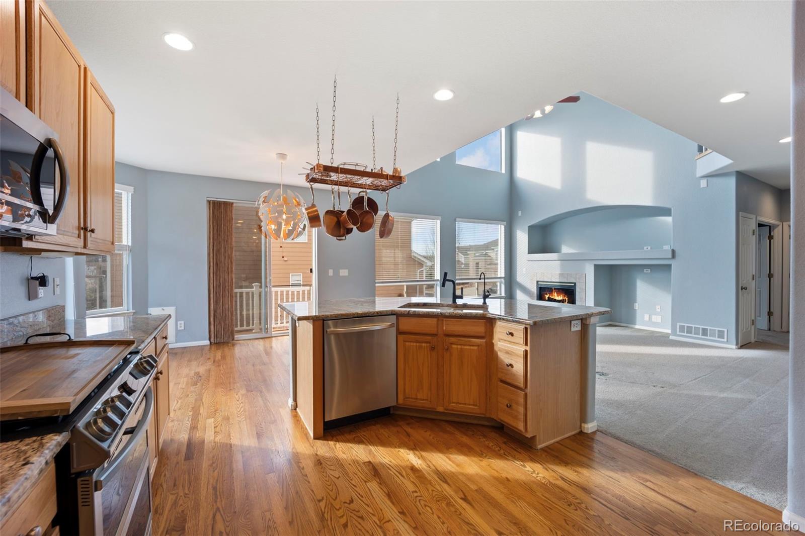 MLS Image #17 for 3921  black feather trail,castle rock, Colorado