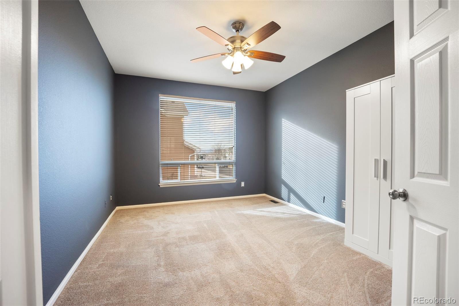 MLS Image #19 for 3921  black feather trail,castle rock, Colorado