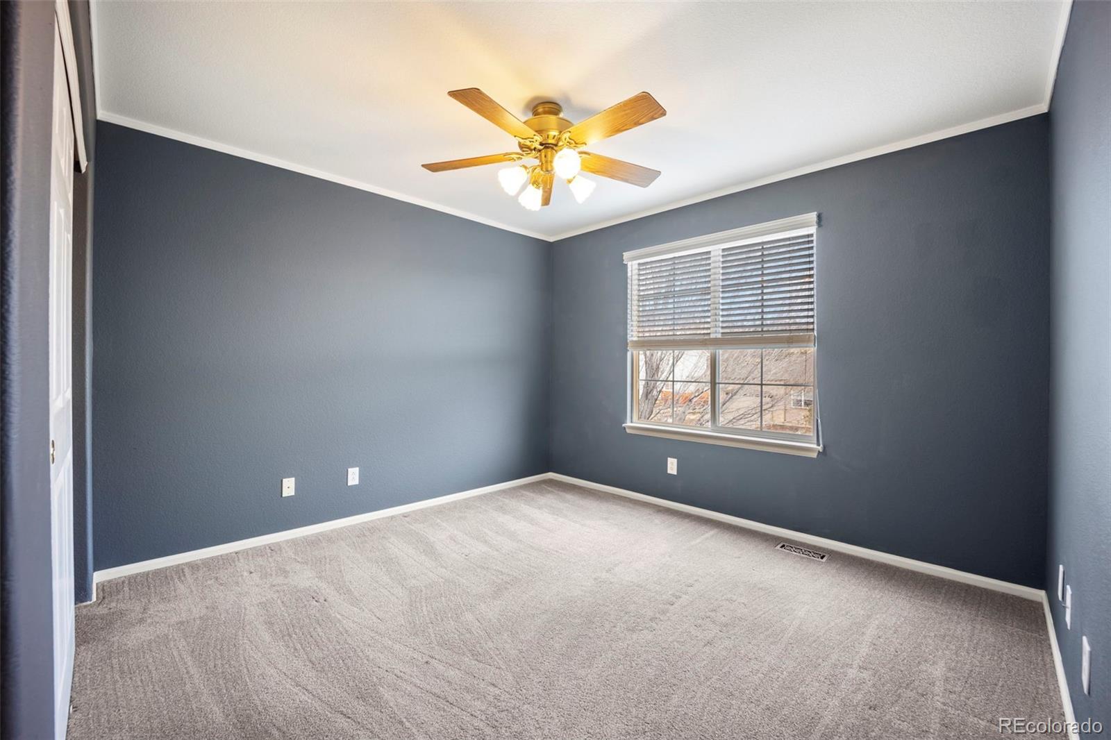 MLS Image #29 for 3921  black feather trail,castle rock, Colorado