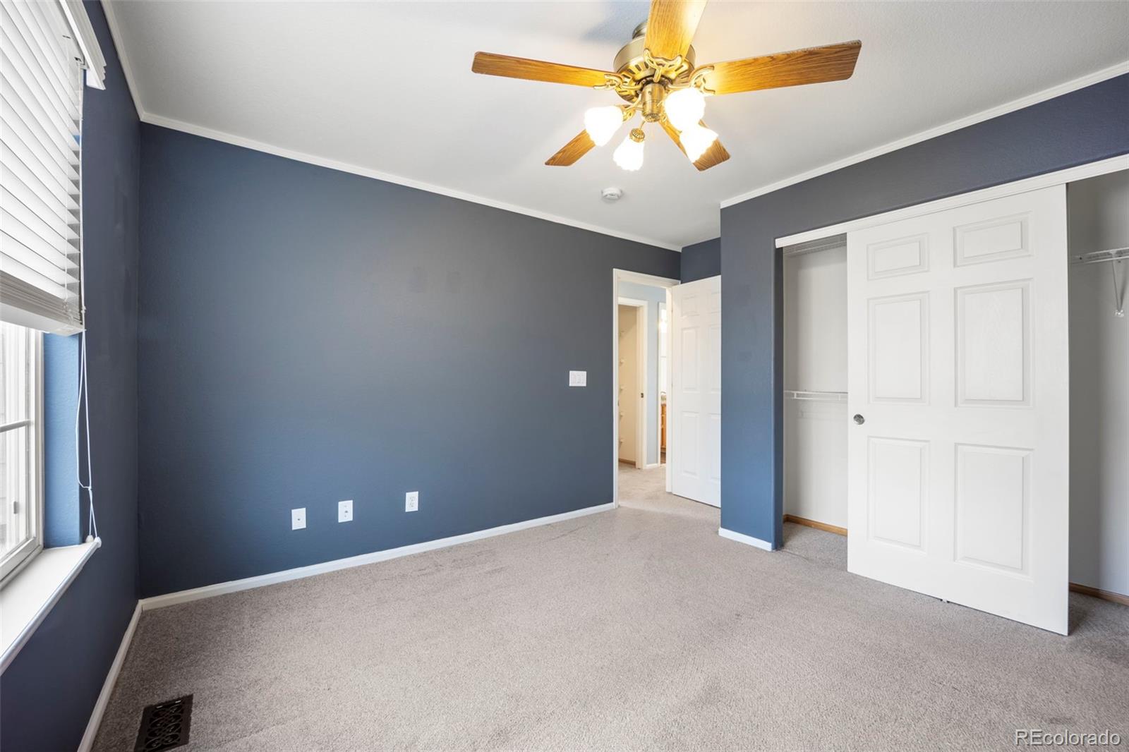 MLS Image #30 for 3921  black feather trail,castle rock, Colorado