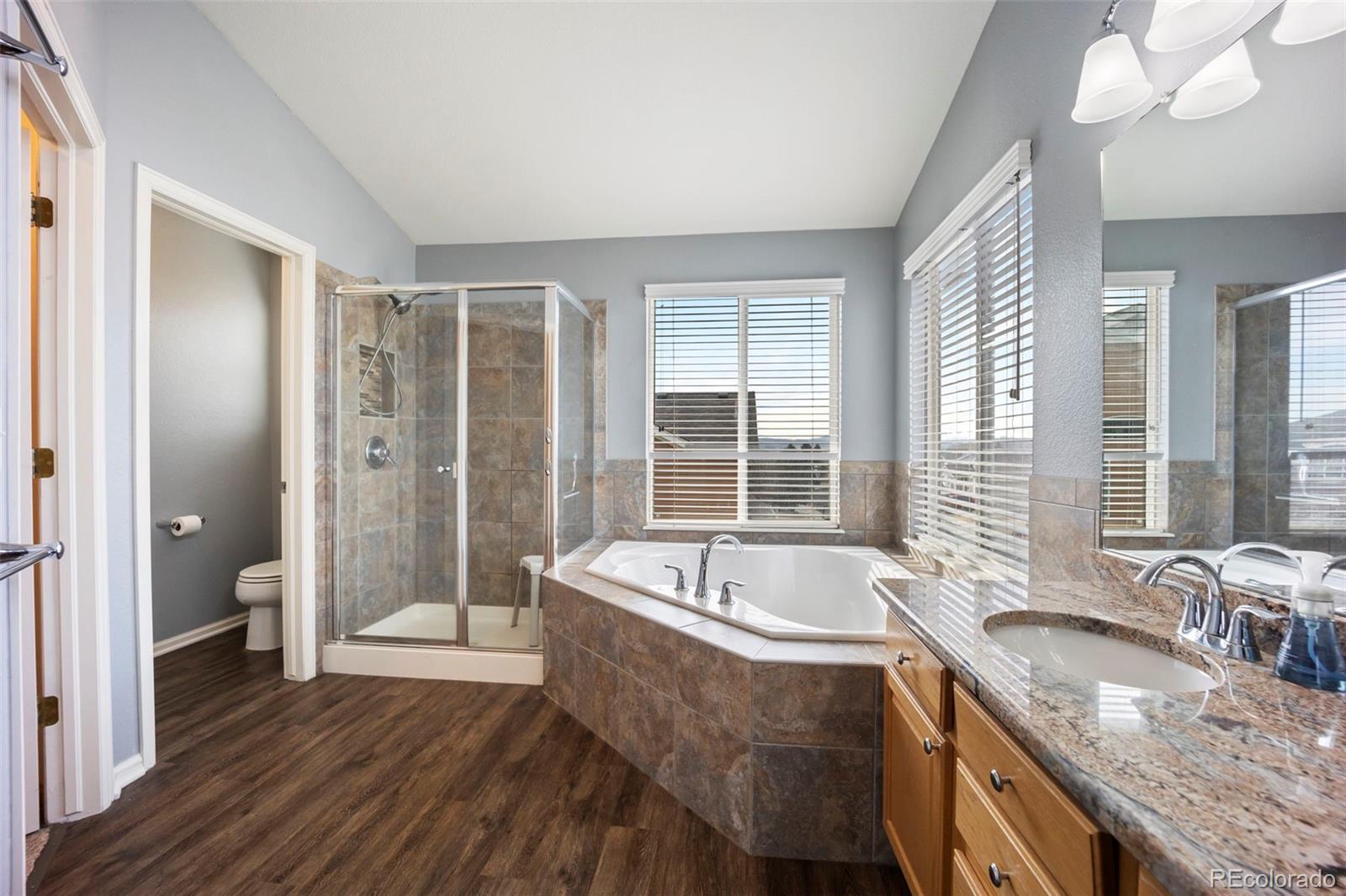 MLS Image #36 for 3921  black feather trail,castle rock, Colorado