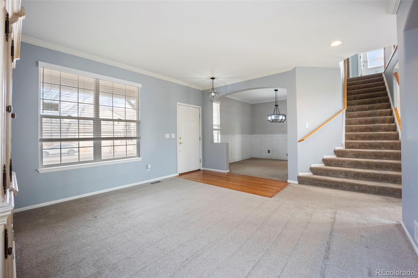 MLS Image #5 for 3921  black feather trail,castle rock, Colorado