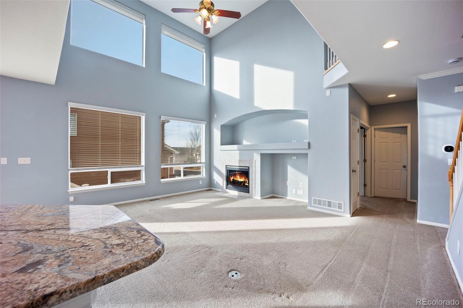 MLS Image #9 for 3921  black feather trail,castle rock, Colorado