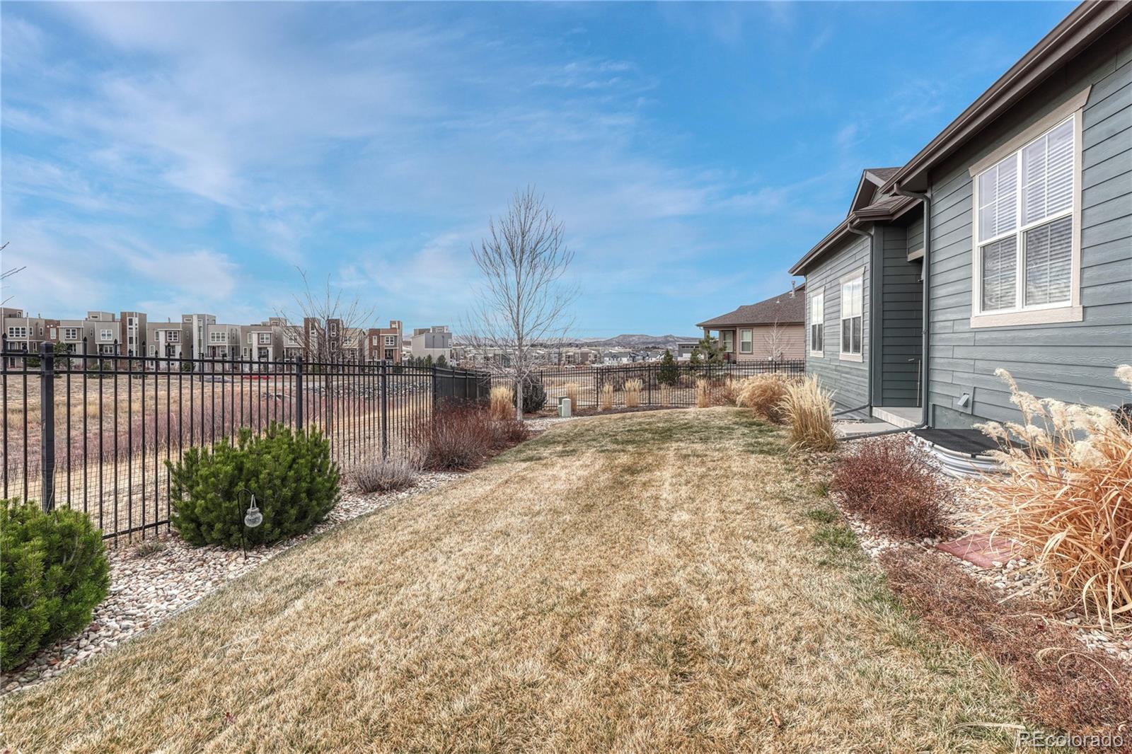 MLS Image #4 for 3695  new haven circle,castle rock, Colorado