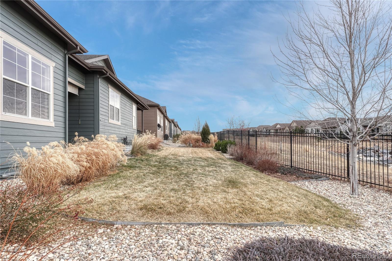 MLS Image #7 for 3695  new haven circle,castle rock, Colorado