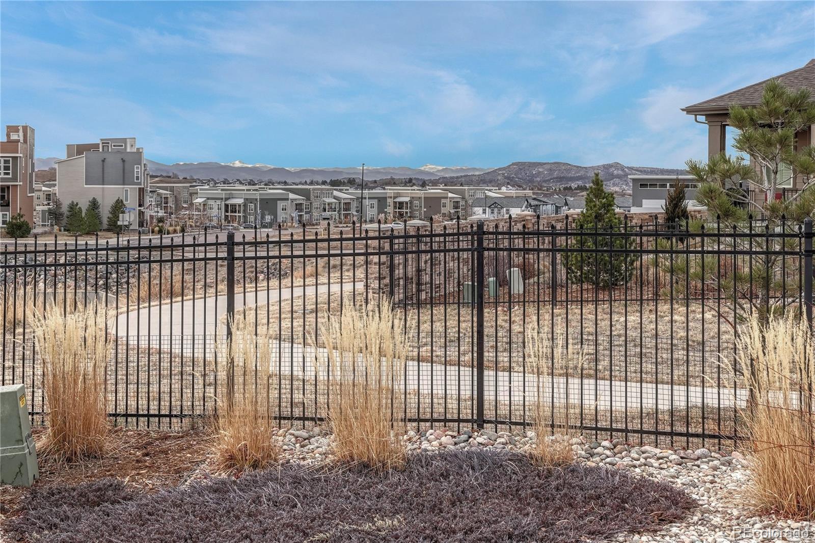 MLS Image #8 for 3695  new haven circle,castle rock, Colorado