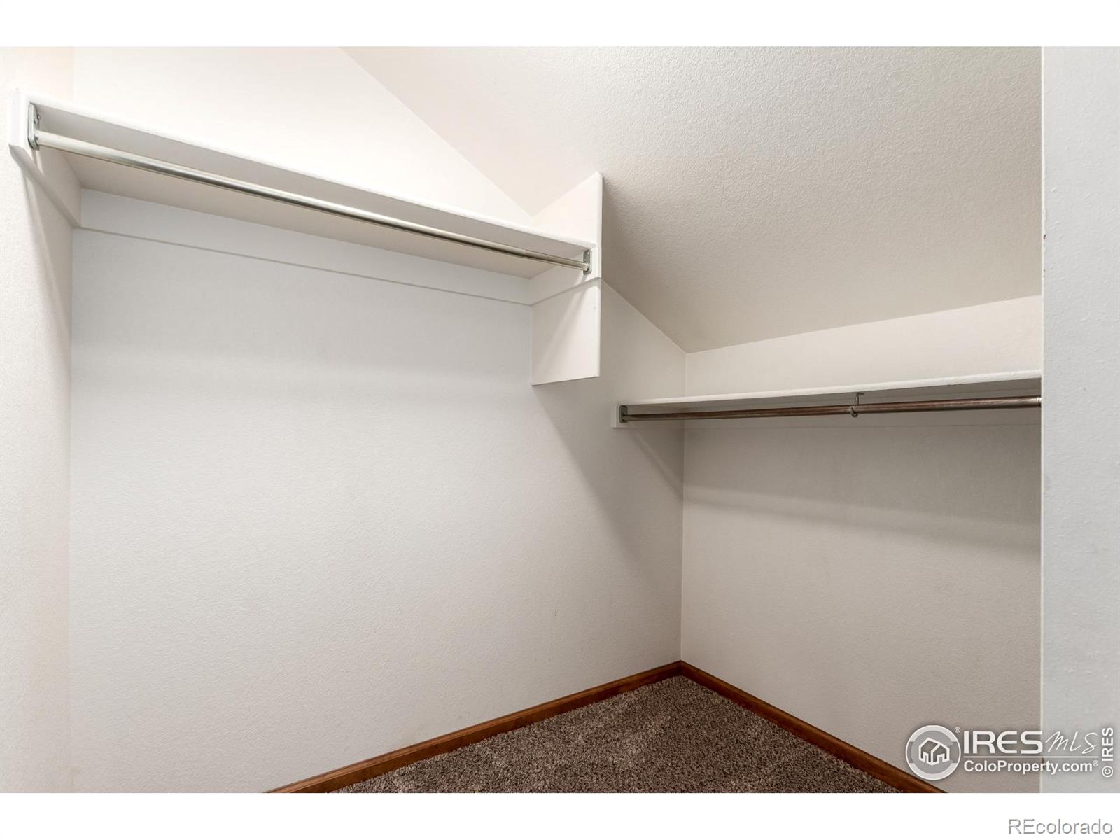 MLS Image #11 for 1004  winona circle,loveland, Colorado