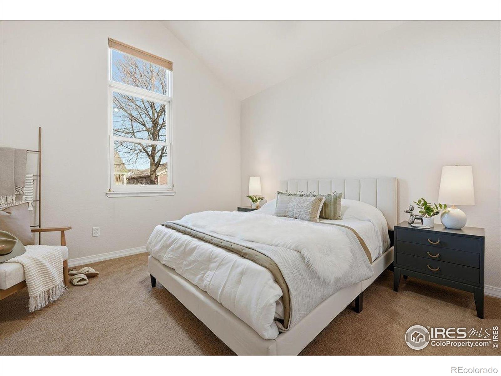MLS Image #22 for 2287  trestle road,fort collins, Colorado