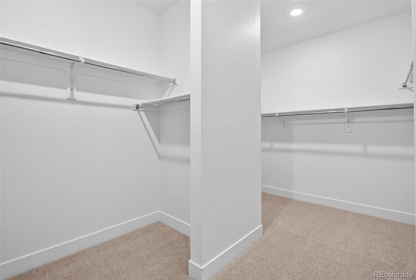 MLS Image #17 for 3438  backdrop court,castle rock, Colorado
