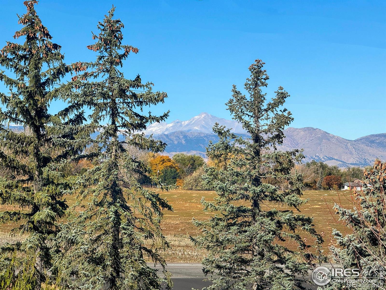 MLS Image #25 for 2408  concord circle,lafayette, Colorado