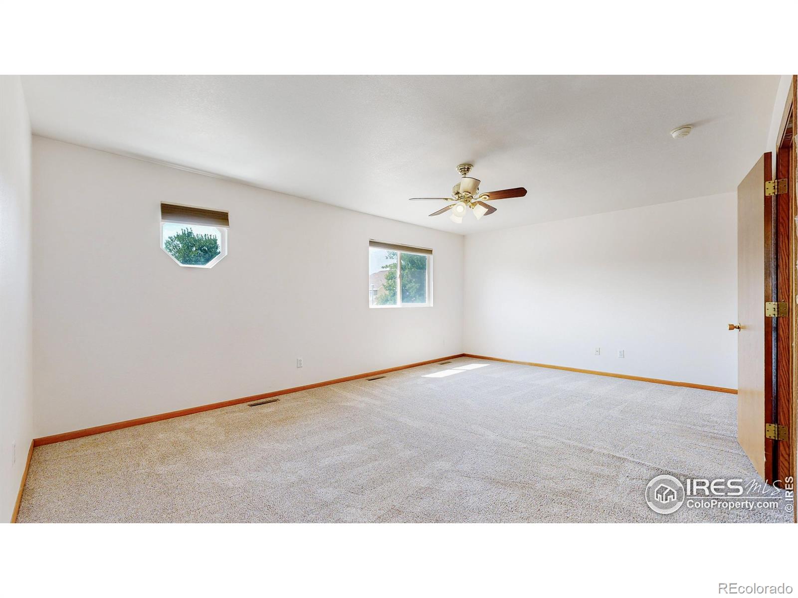 MLS Image #11 for 713  apple court,windsor, Colorado