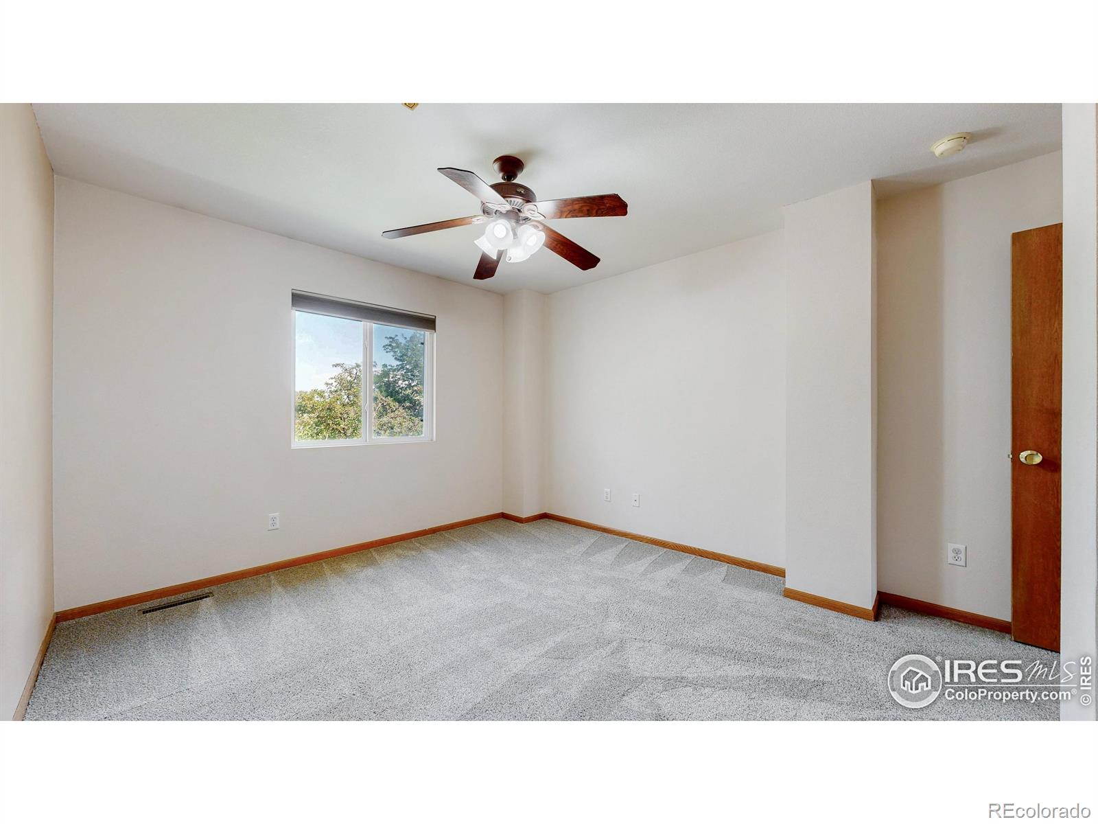 MLS Image #13 for 713  apple court,windsor, Colorado