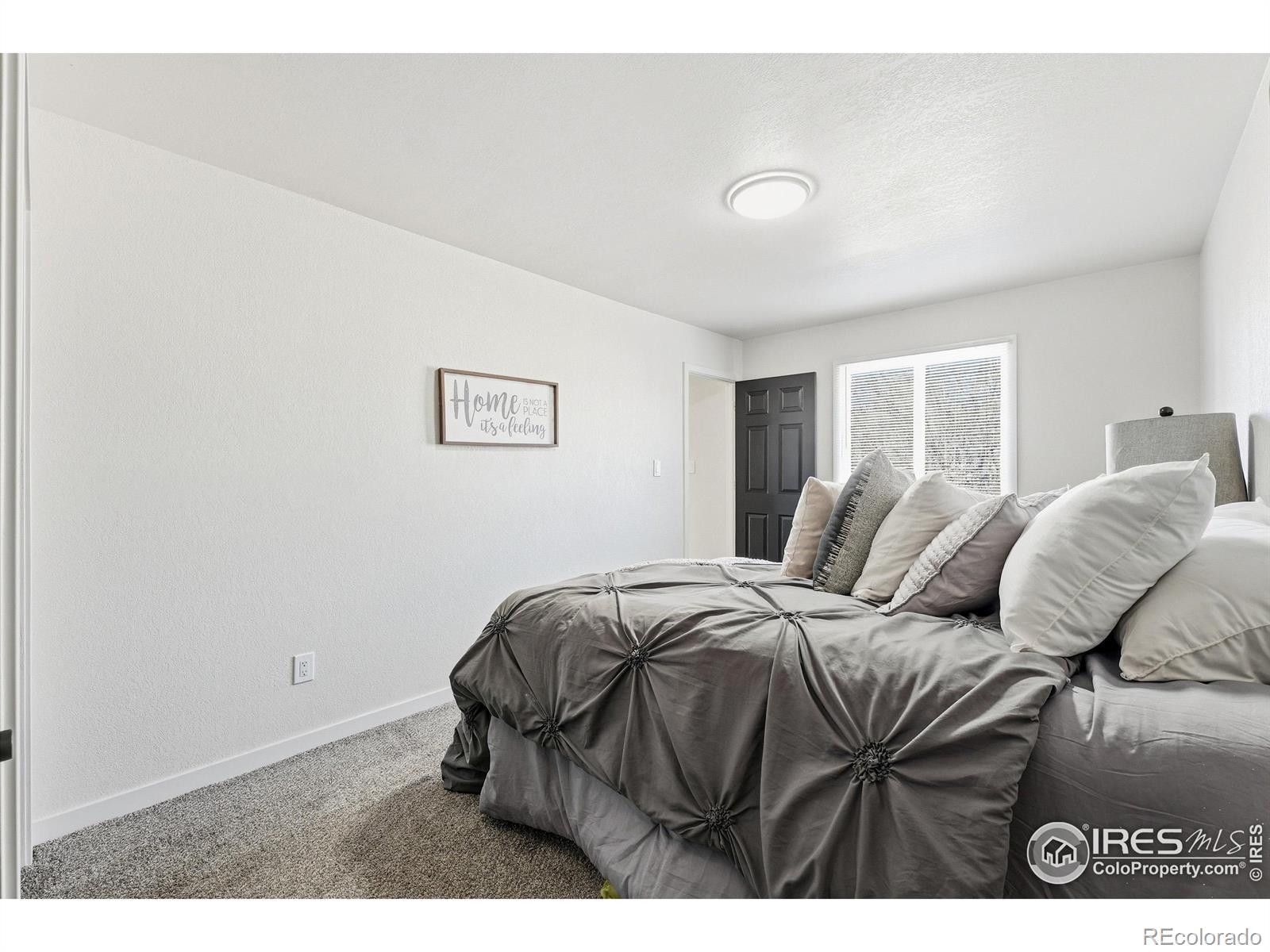 MLS Image #13 for 149  sunflower drive,windsor, Colorado