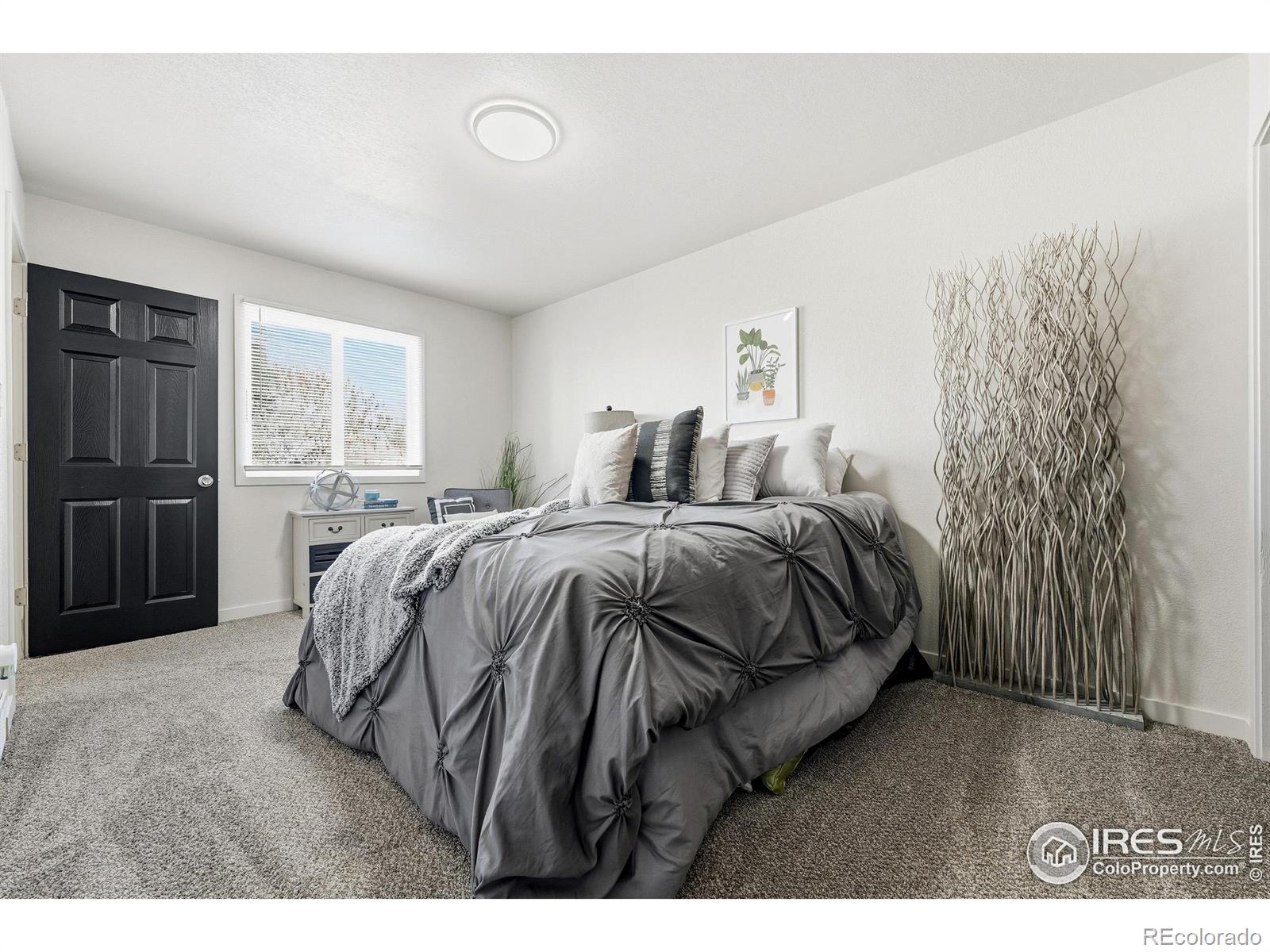 MLS Image #14 for 149  sunflower drive,windsor, Colorado