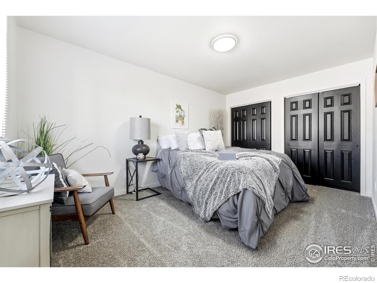 MLS Image #15 for 149  sunflower drive,windsor, Colorado