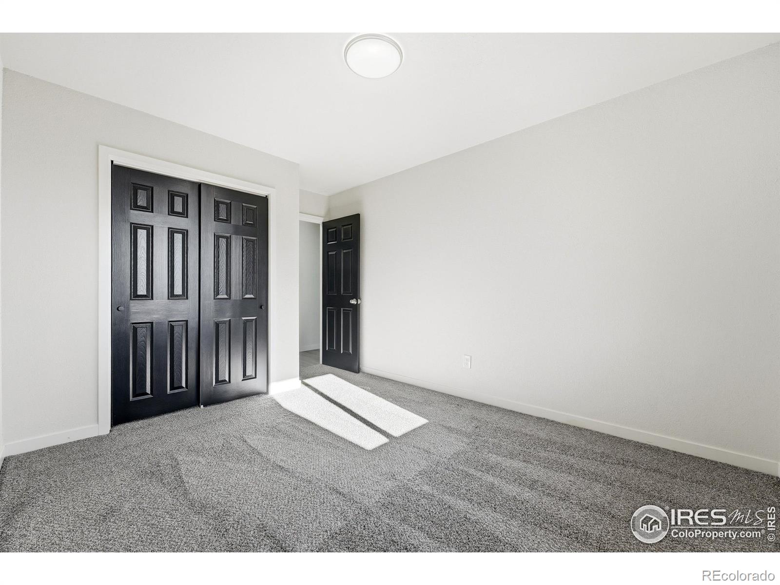 MLS Image #20 for 149  sunflower drive,windsor, Colorado