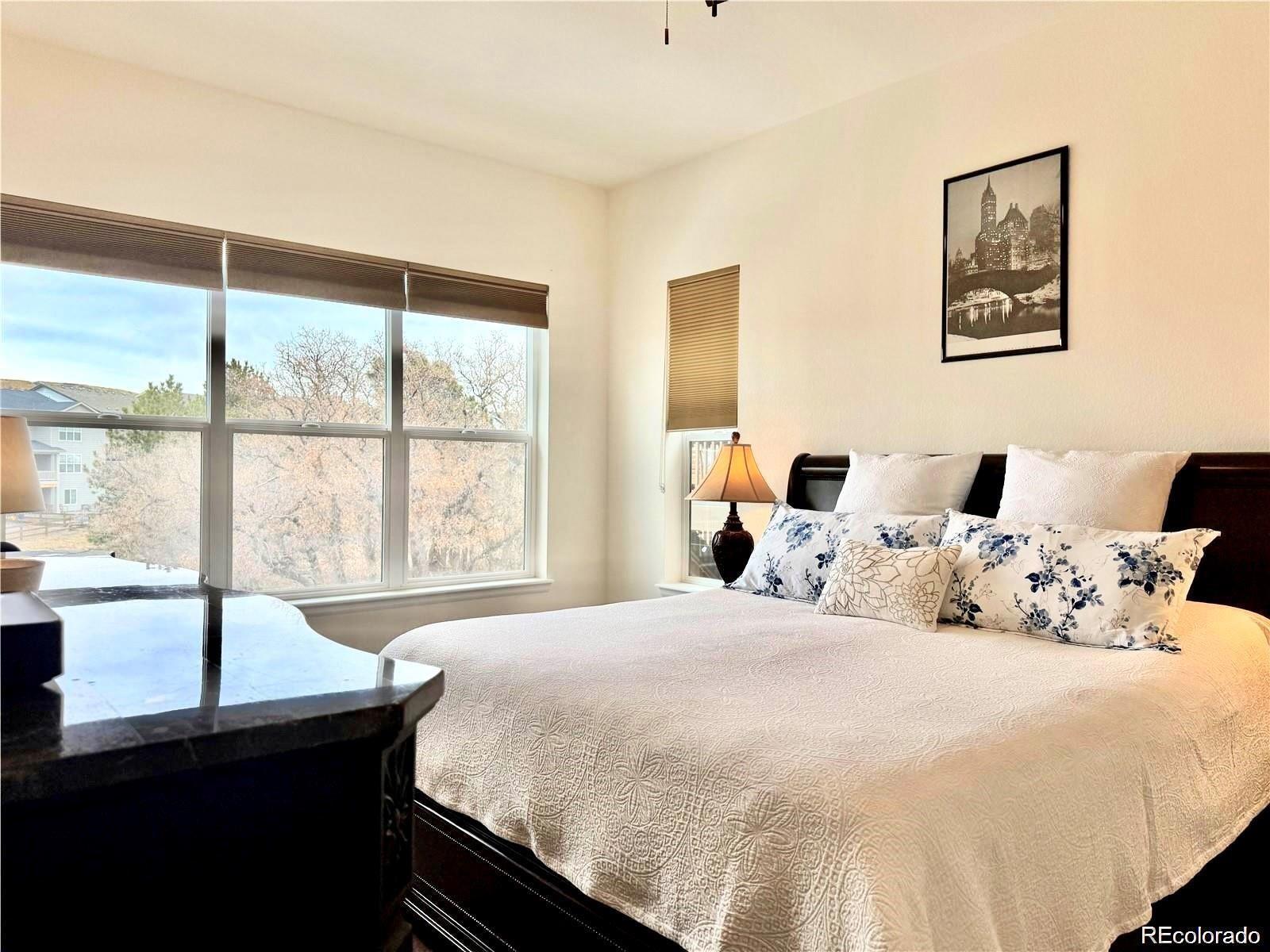 MLS Image #10 for 295  kitselman drive,castle rock, Colorado