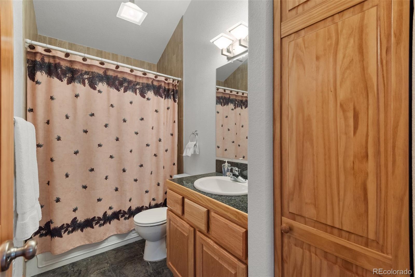 MLS Image #20 for 172  rogers road,bailey, Colorado