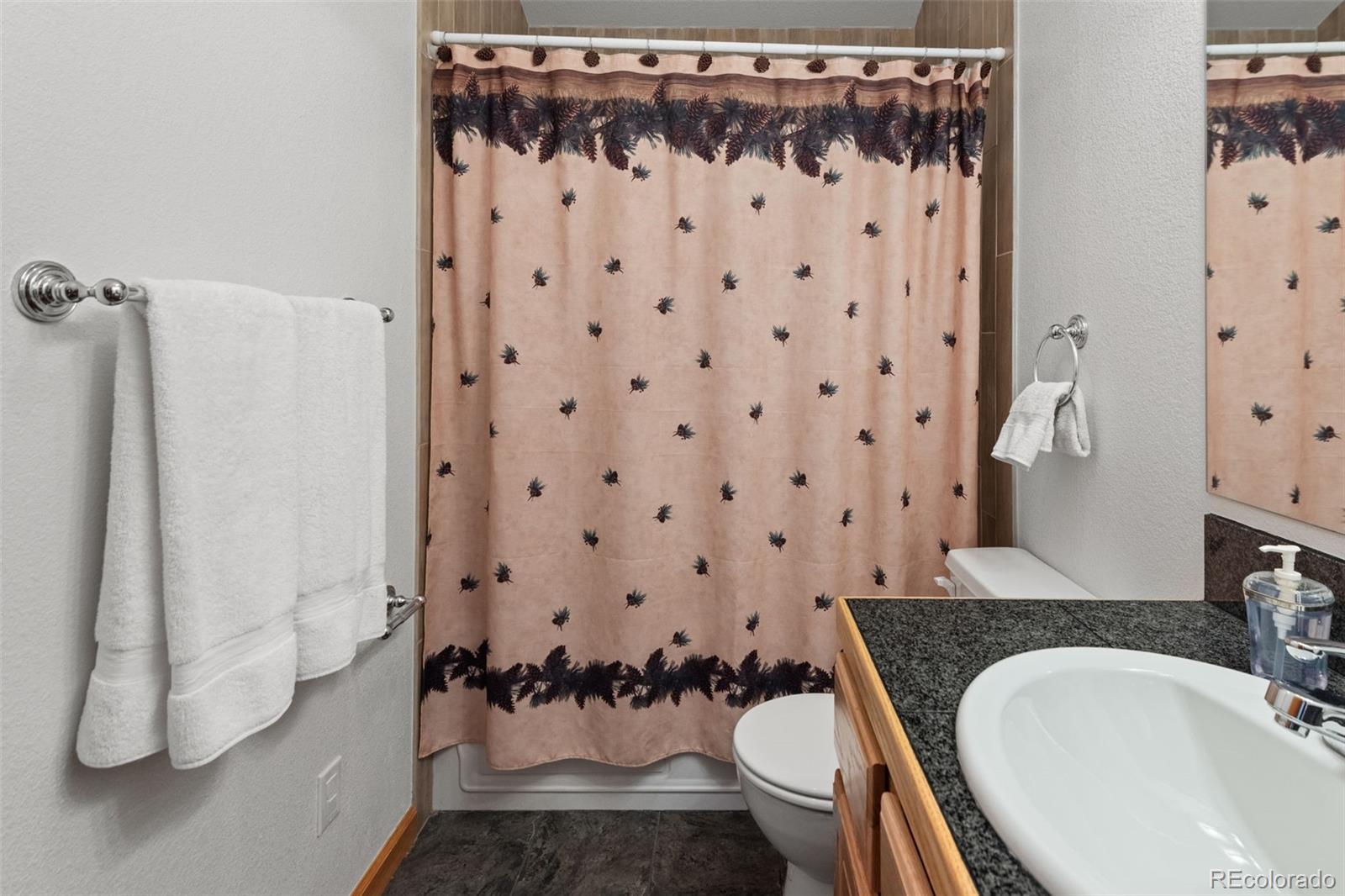 MLS Image #22 for 172  rogers road,bailey, Colorado