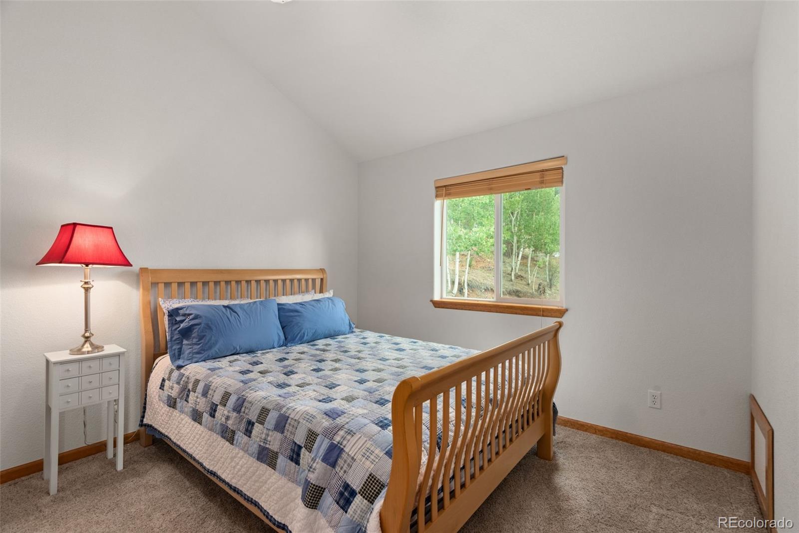 MLS Image #23 for 172  rogers road,bailey, Colorado