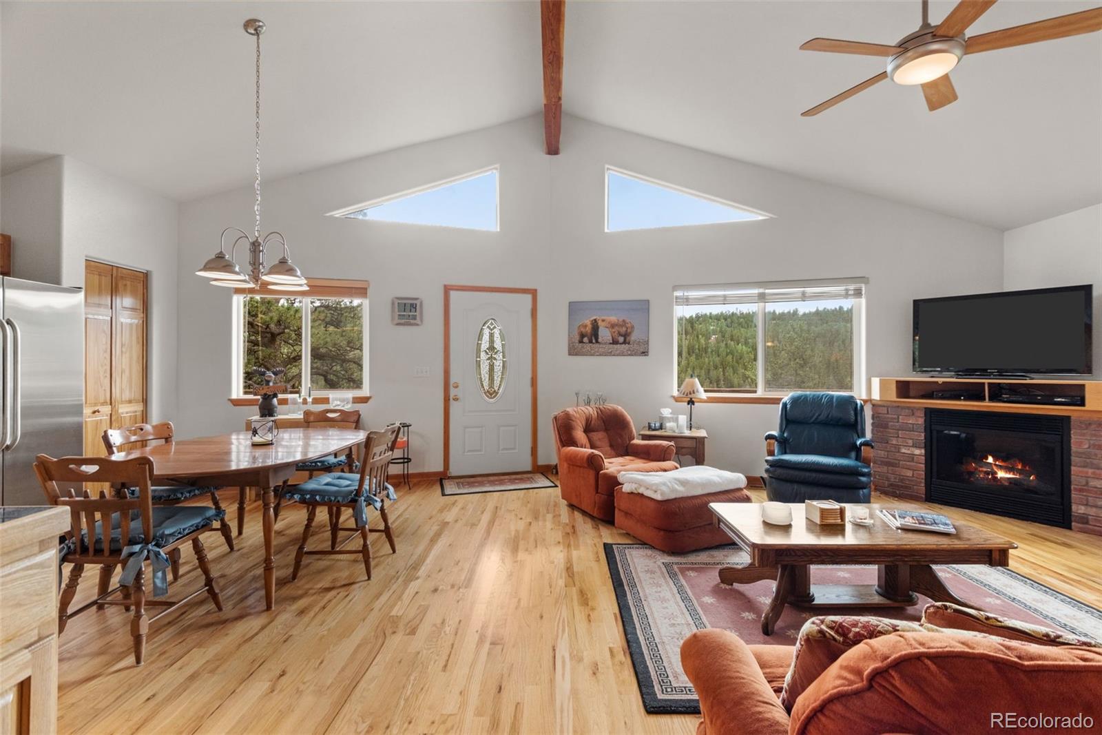 MLS Image #4 for 172  rogers road,bailey, Colorado
