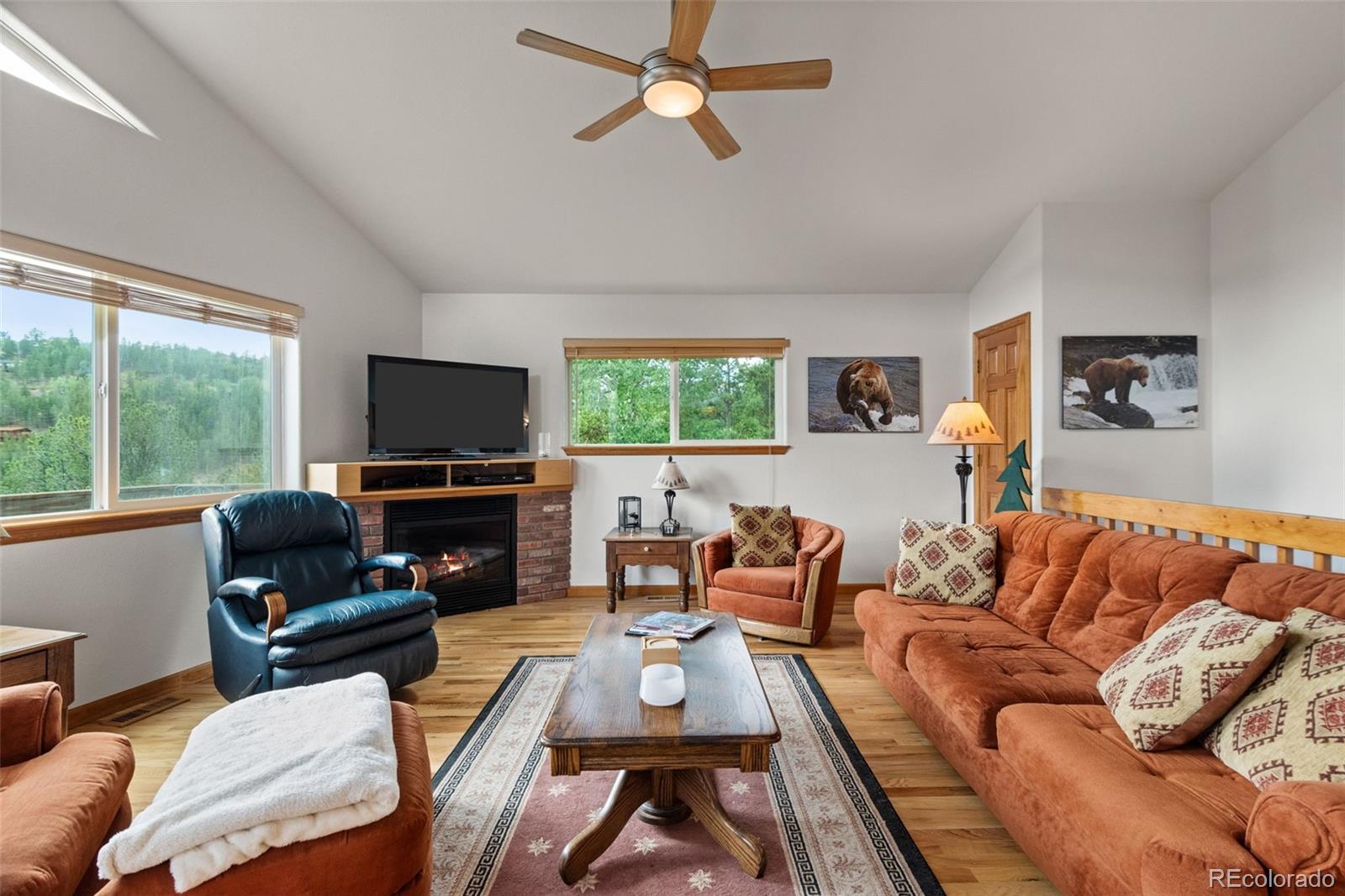 MLS Image #5 for 172  rogers road,bailey, Colorado