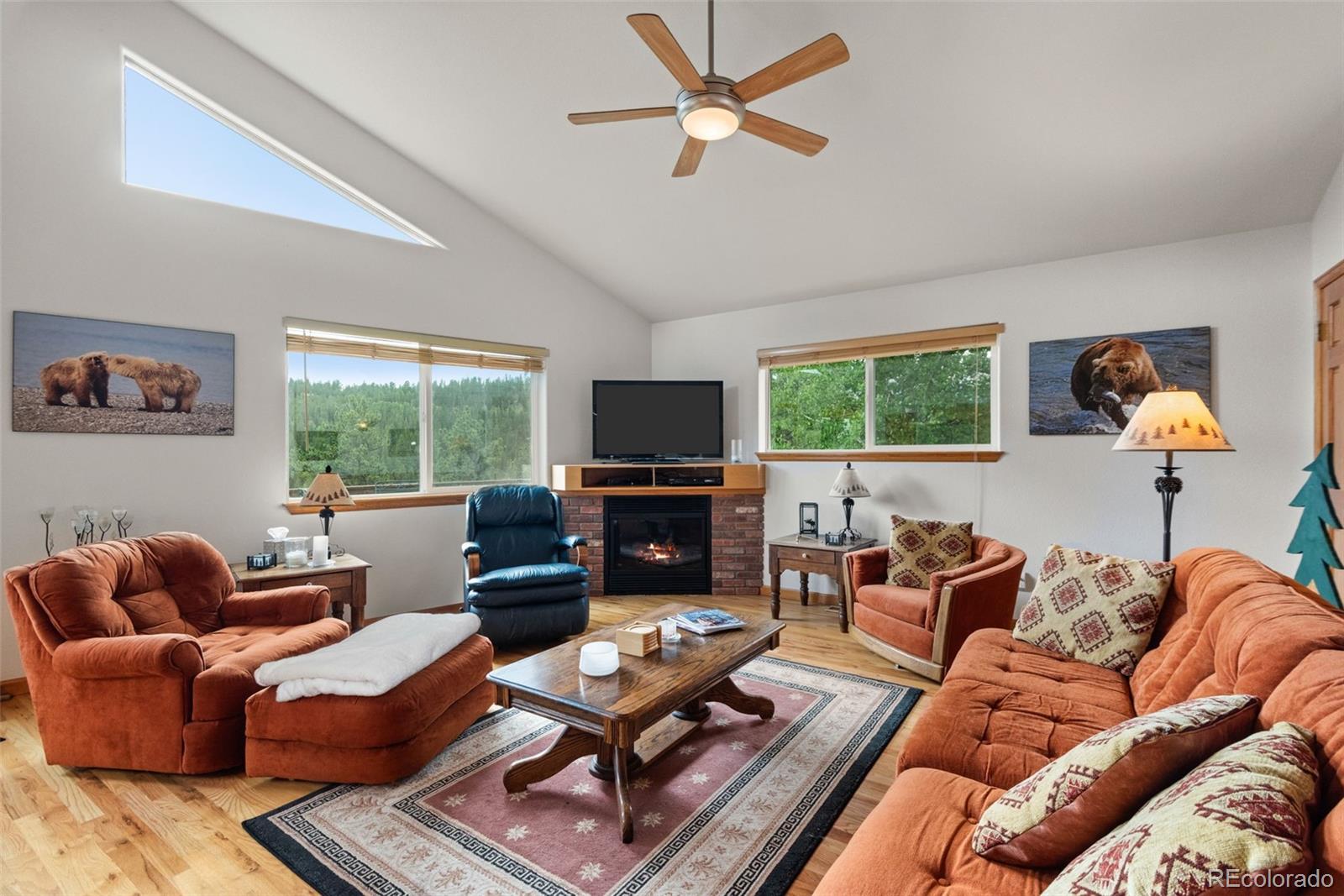 MLS Image #7 for 172  rogers road,bailey, Colorado