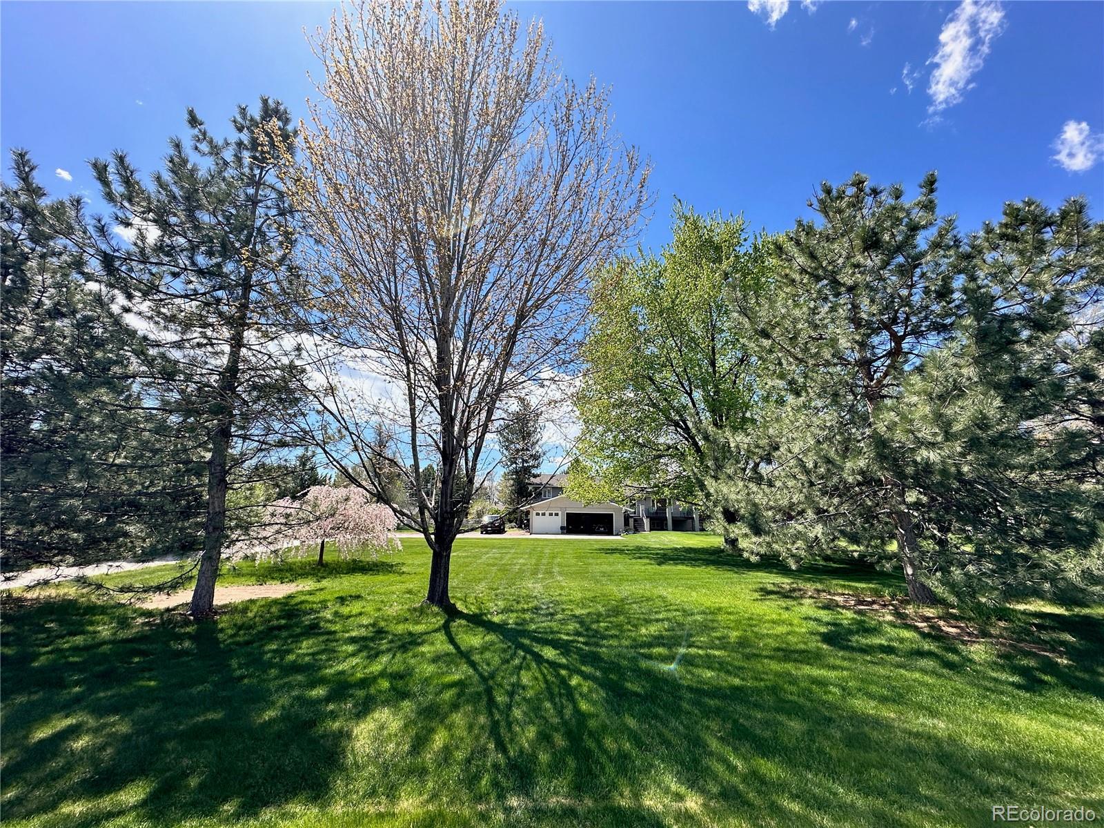 MLS Image #40 for 6206  misty way,longmont, Colorado