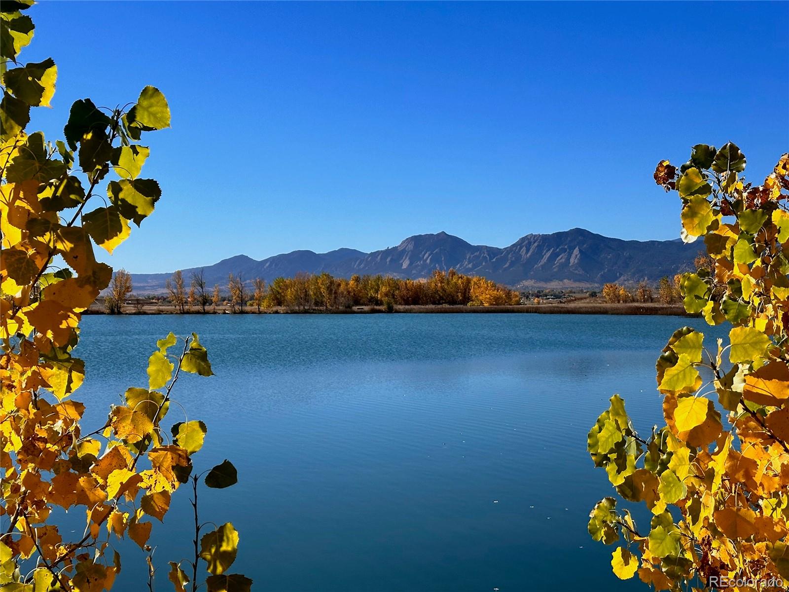 MLS Image #44 for 6206  misty way,longmont, Colorado