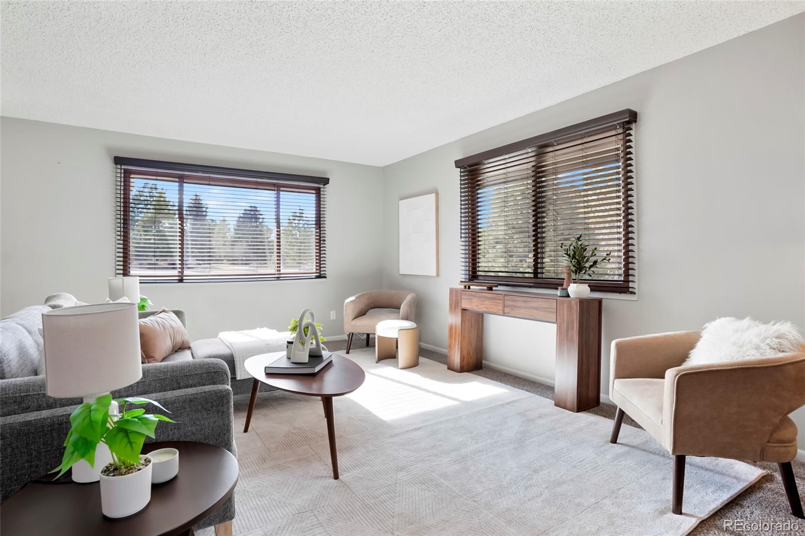 MLS Image #10 for 8299  lakeview drive,parker, Colorado