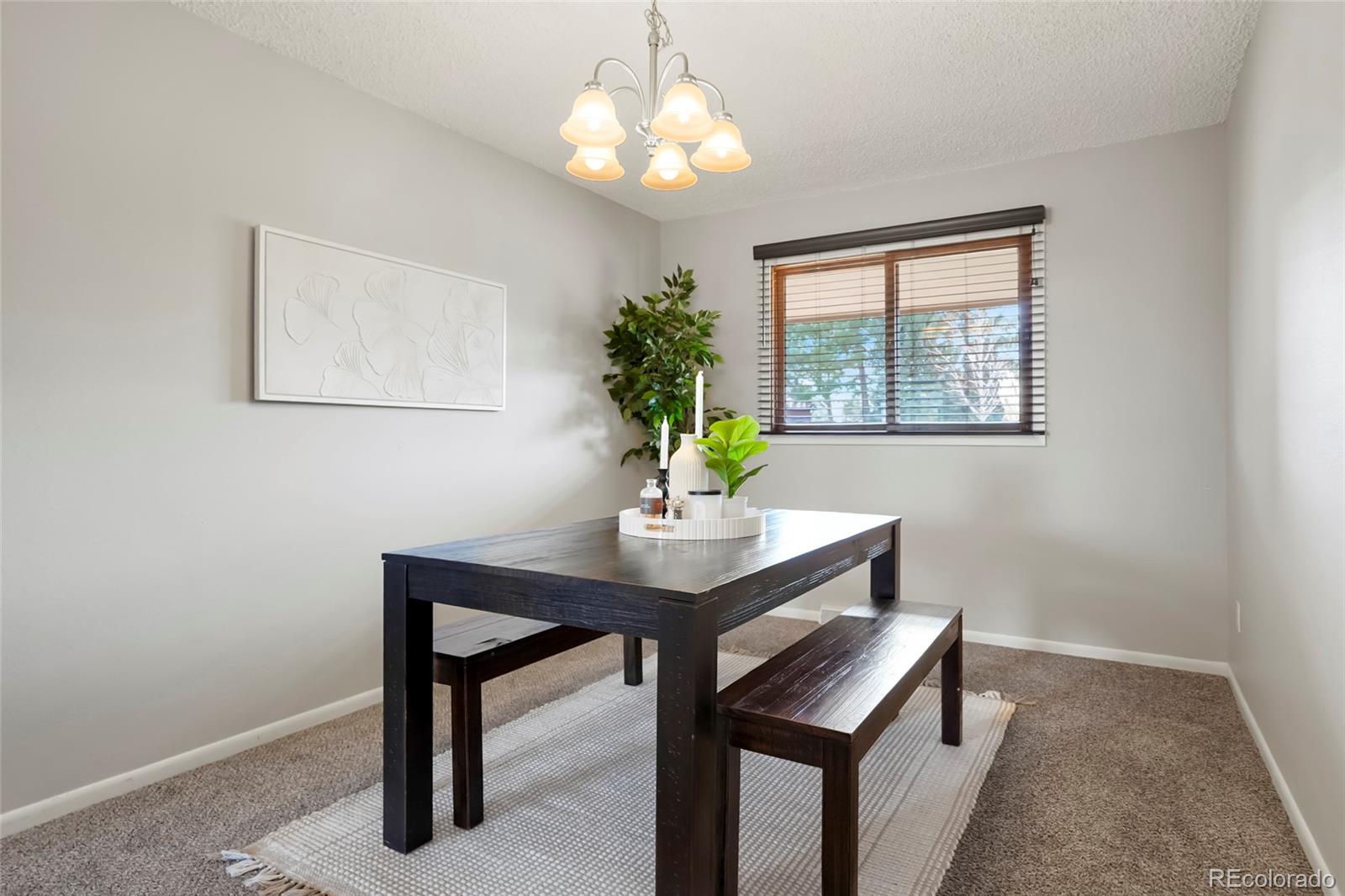 MLS Image #18 for 8299  lakeview drive,parker, Colorado