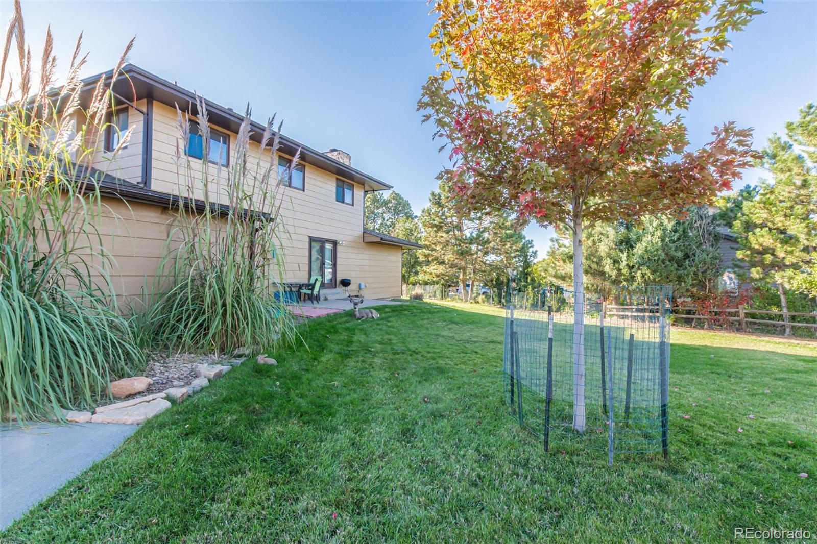 MLS Image #3 for 8299  lakeview drive,parker, Colorado