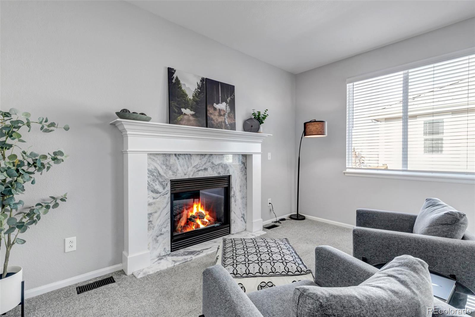 MLS Image #4 for 16043 e tall timber lane,parker, Colorado