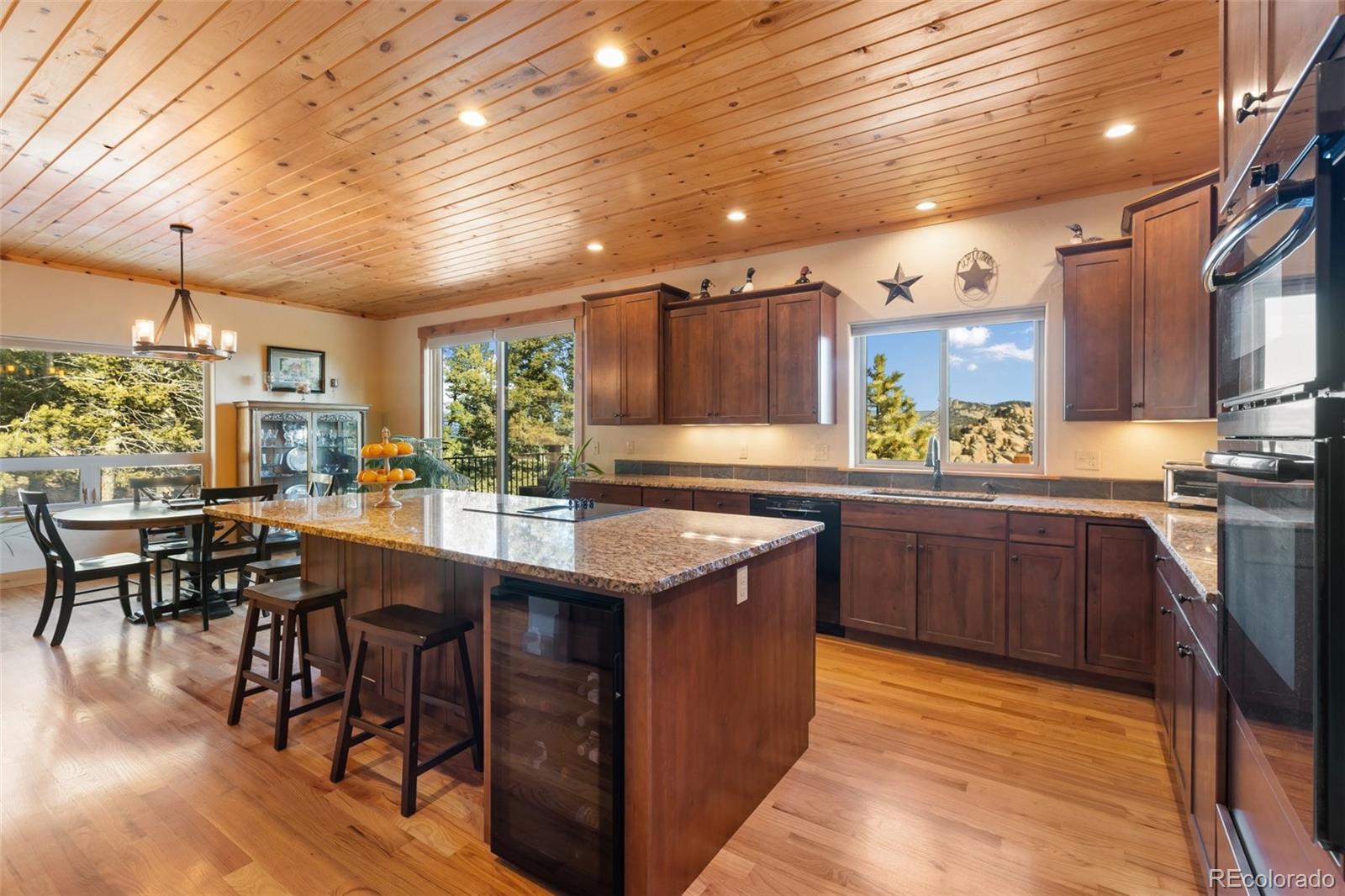 MLS Image #10 for 146  conifer circle,florissant, Colorado