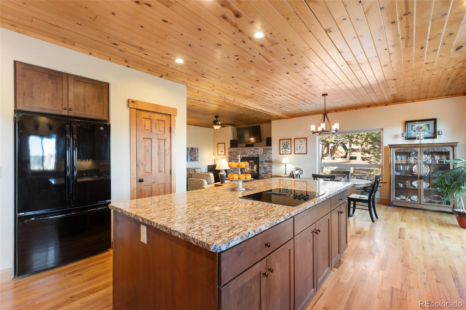 MLS Image #12 for 146  conifer circle,florissant, Colorado