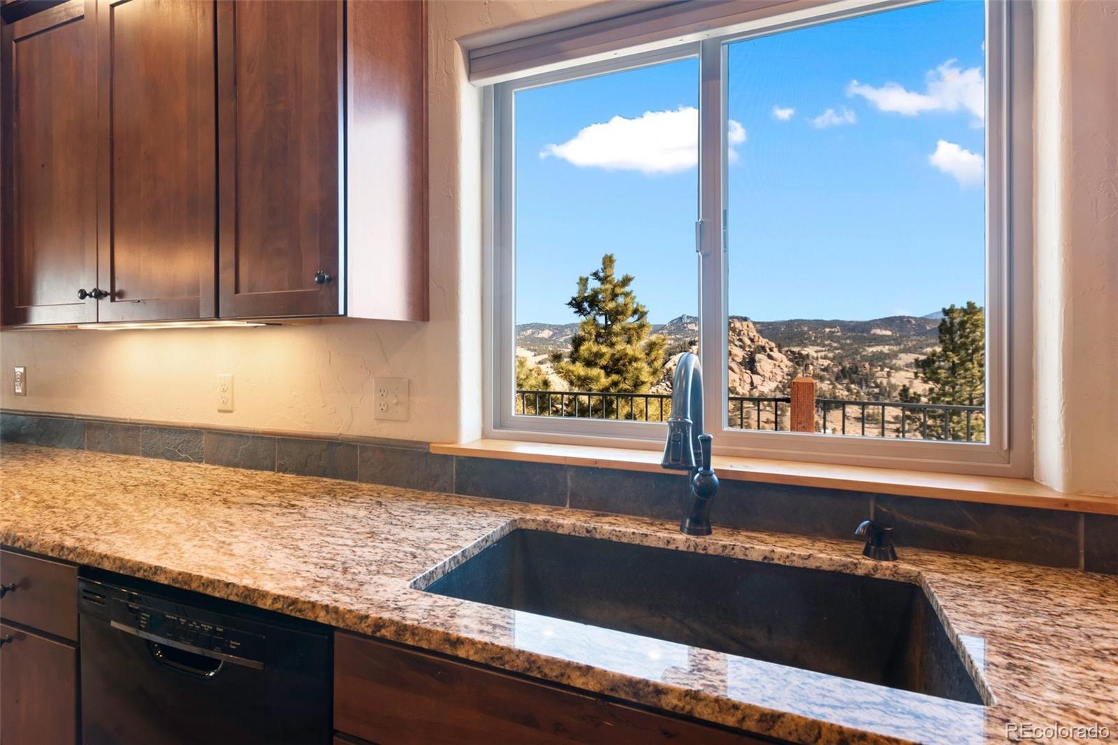 MLS Image #13 for 146  conifer circle,florissant, Colorado