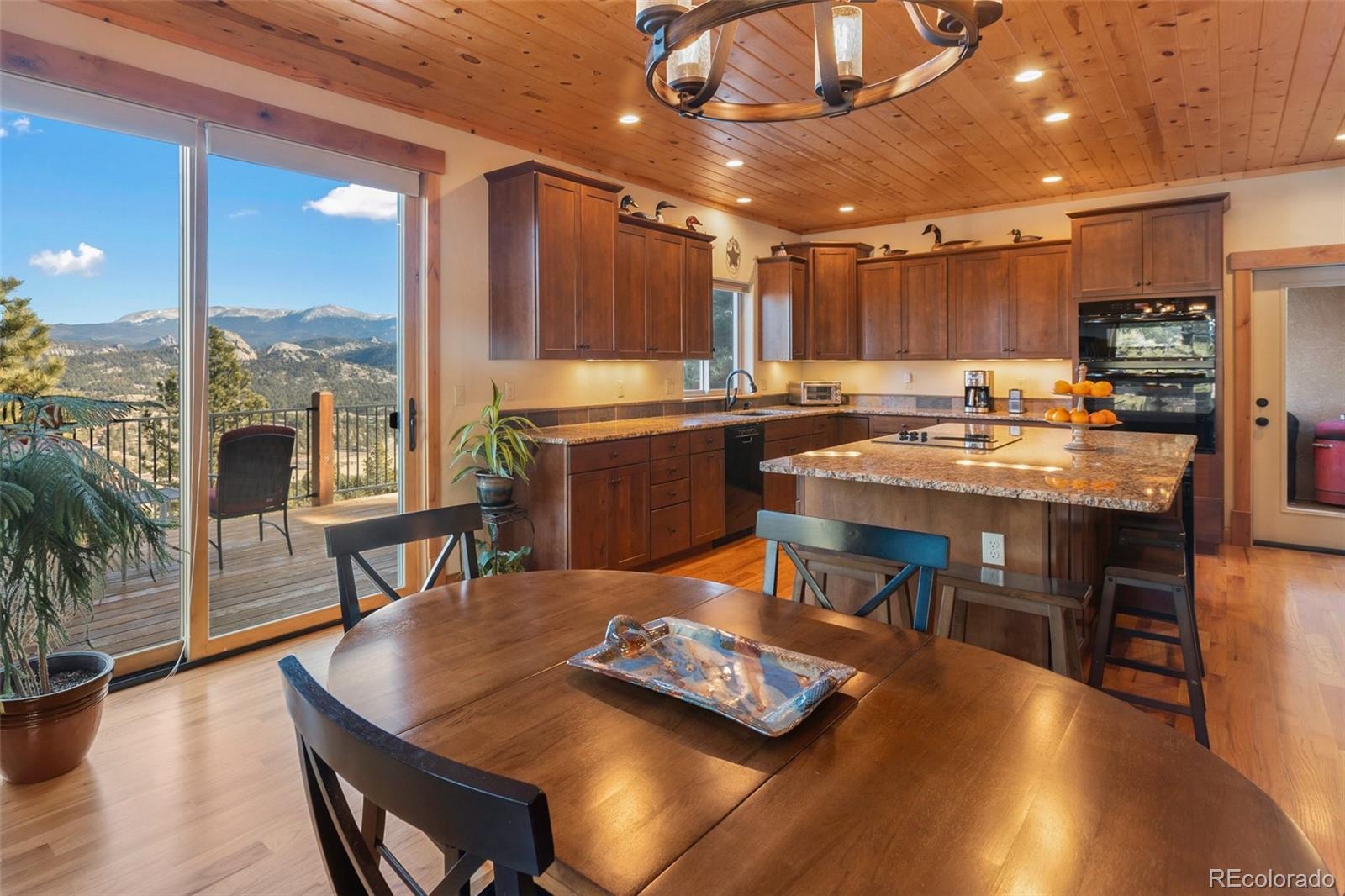 MLS Image #14 for 146  conifer circle,florissant, Colorado