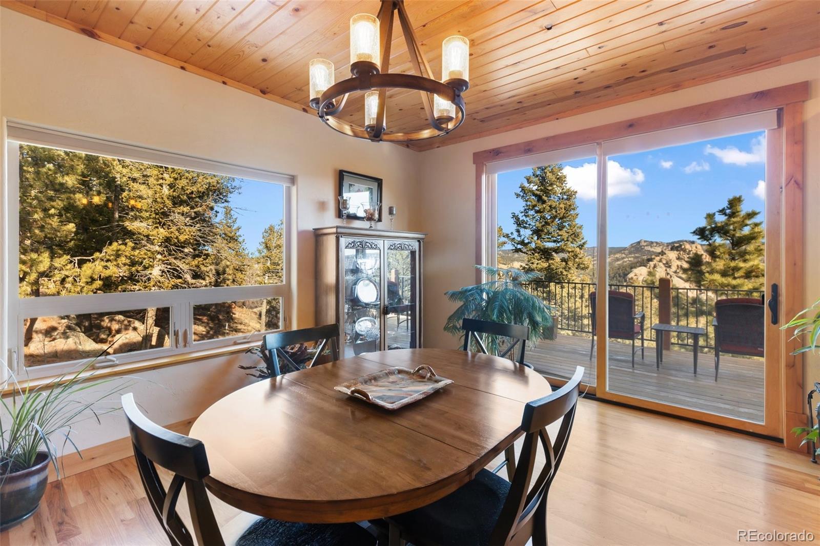 MLS Image #15 for 146  conifer circle,florissant, Colorado
