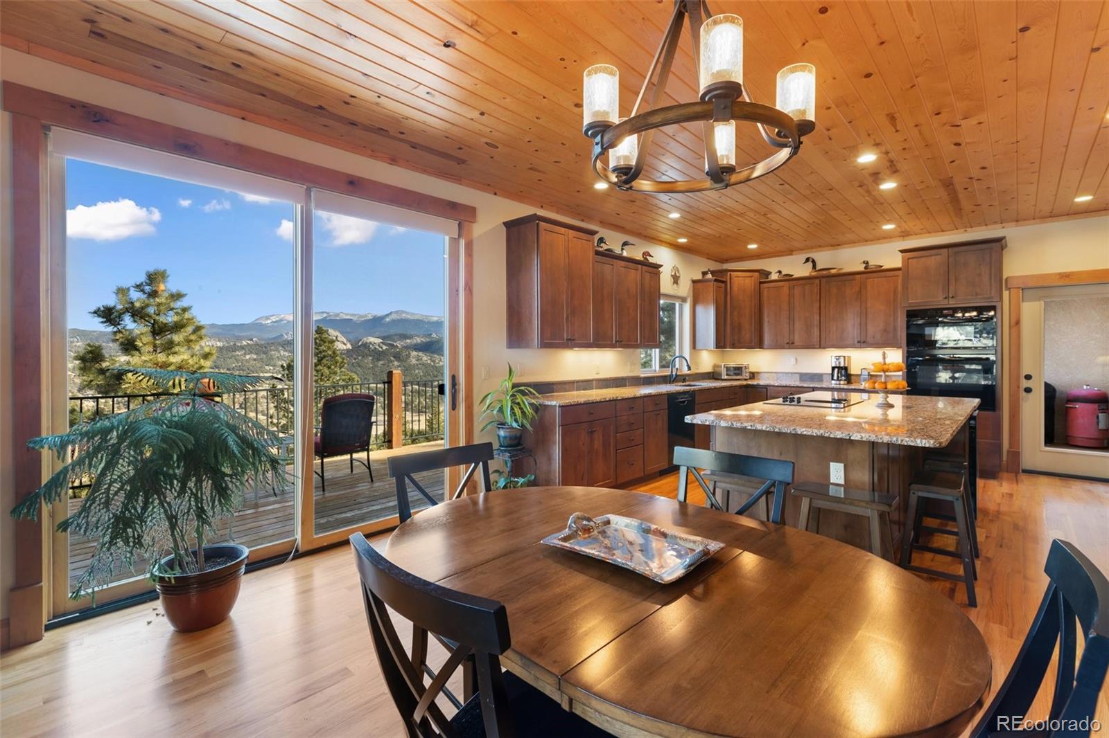 MLS Image #16 for 146  conifer circle,florissant, Colorado