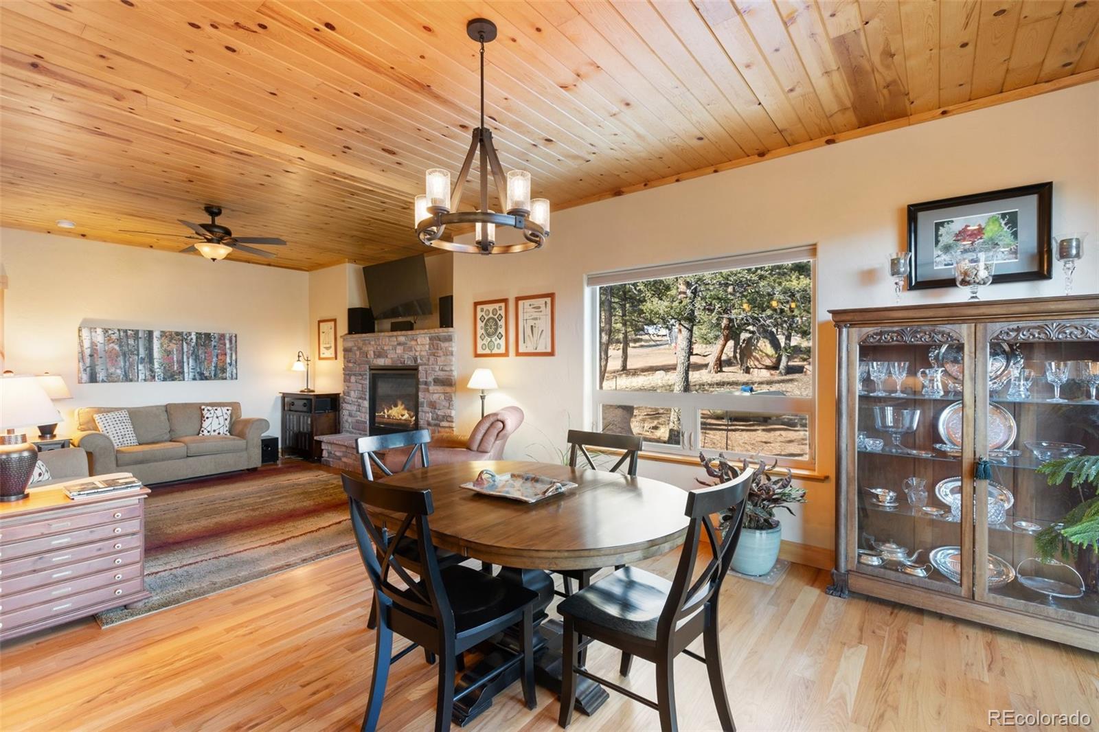 MLS Image #17 for 146  conifer circle,florissant, Colorado