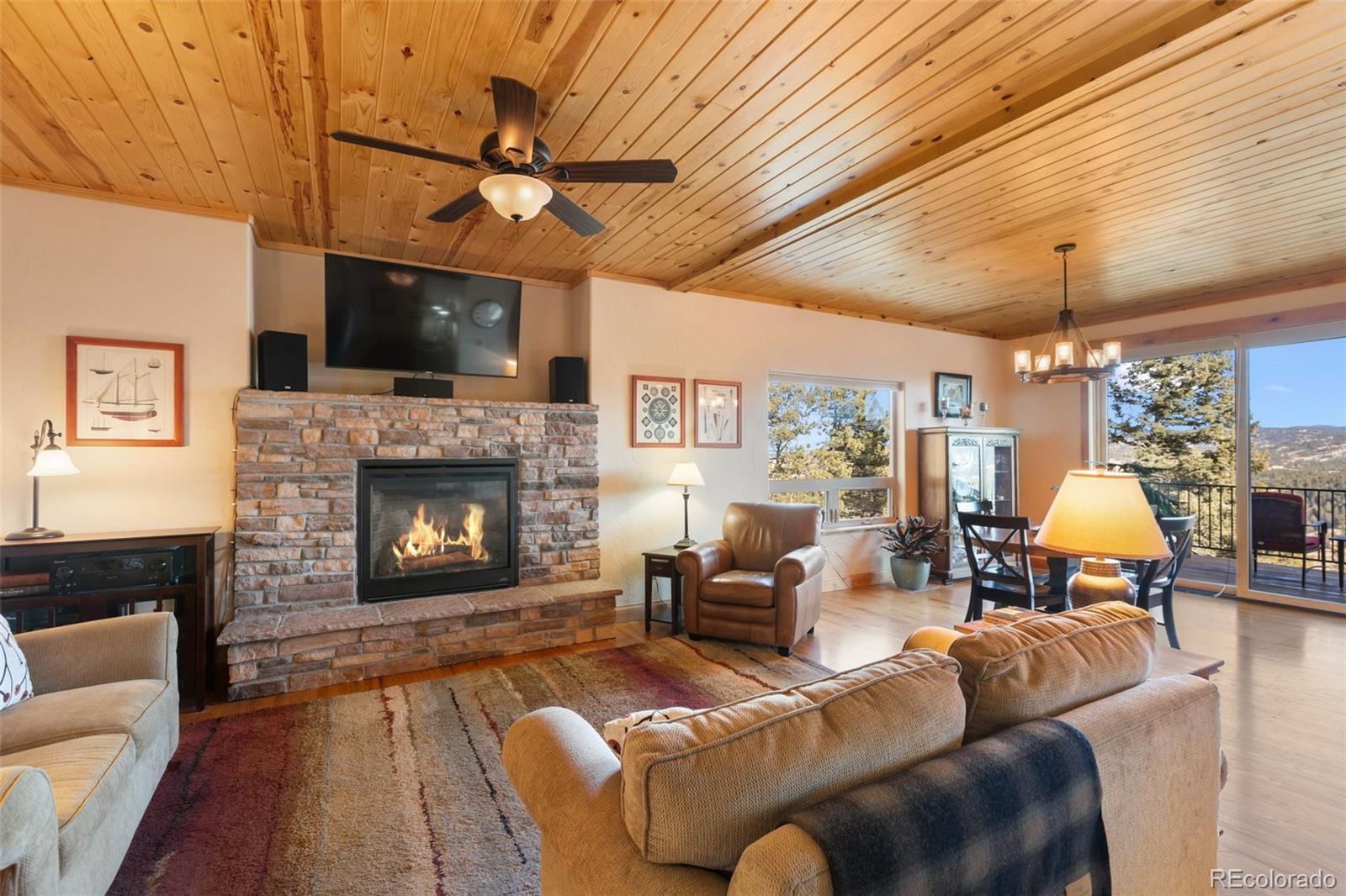 MLS Image #19 for 146  conifer circle,florissant, Colorado
