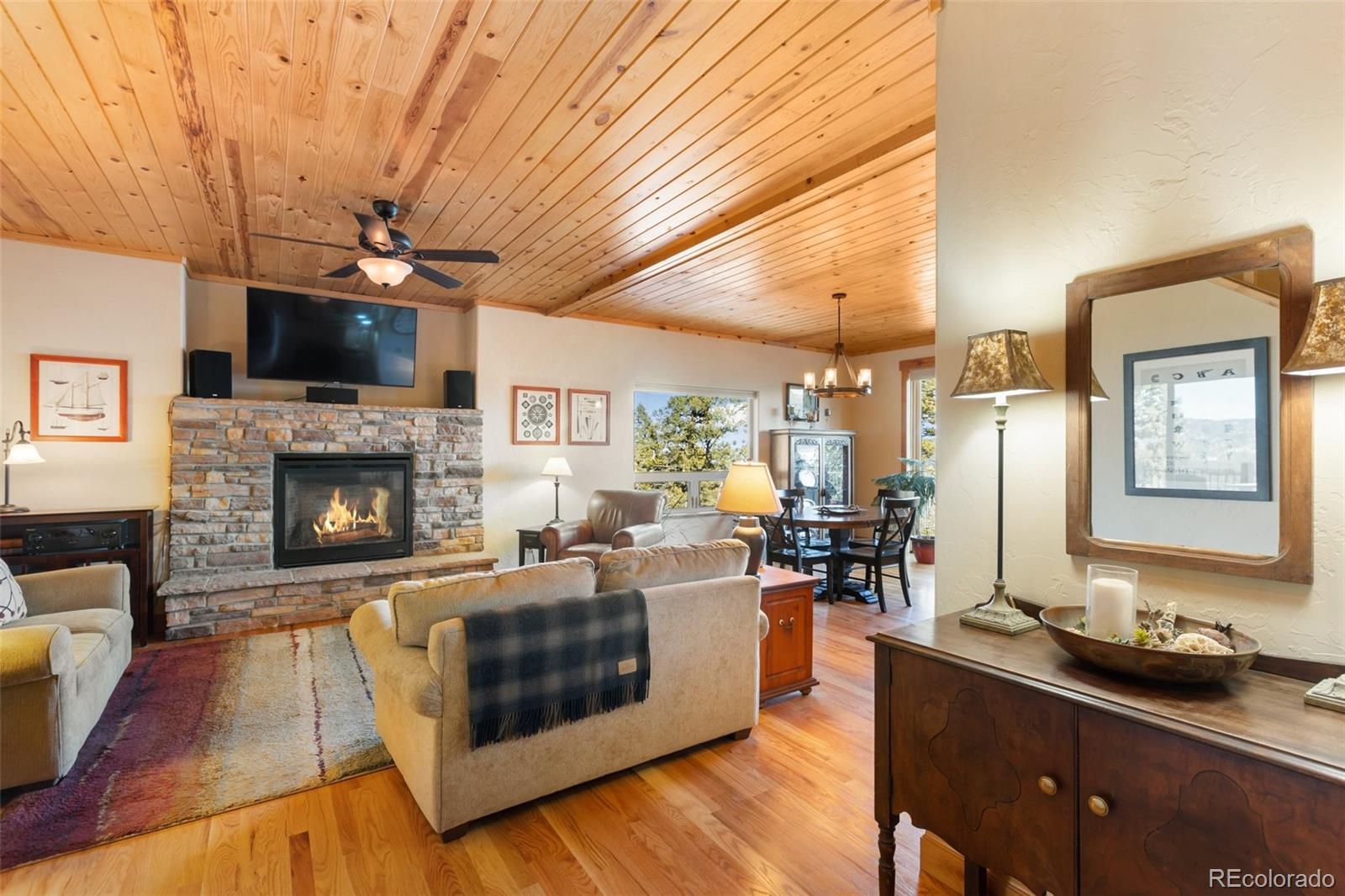 MLS Image #20 for 146  conifer circle,florissant, Colorado