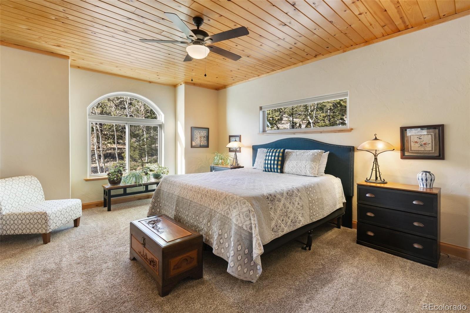 MLS Image #25 for 146  conifer circle,florissant, Colorado