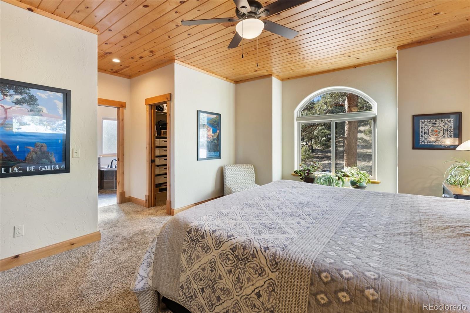 MLS Image #26 for 146  conifer circle,florissant, Colorado