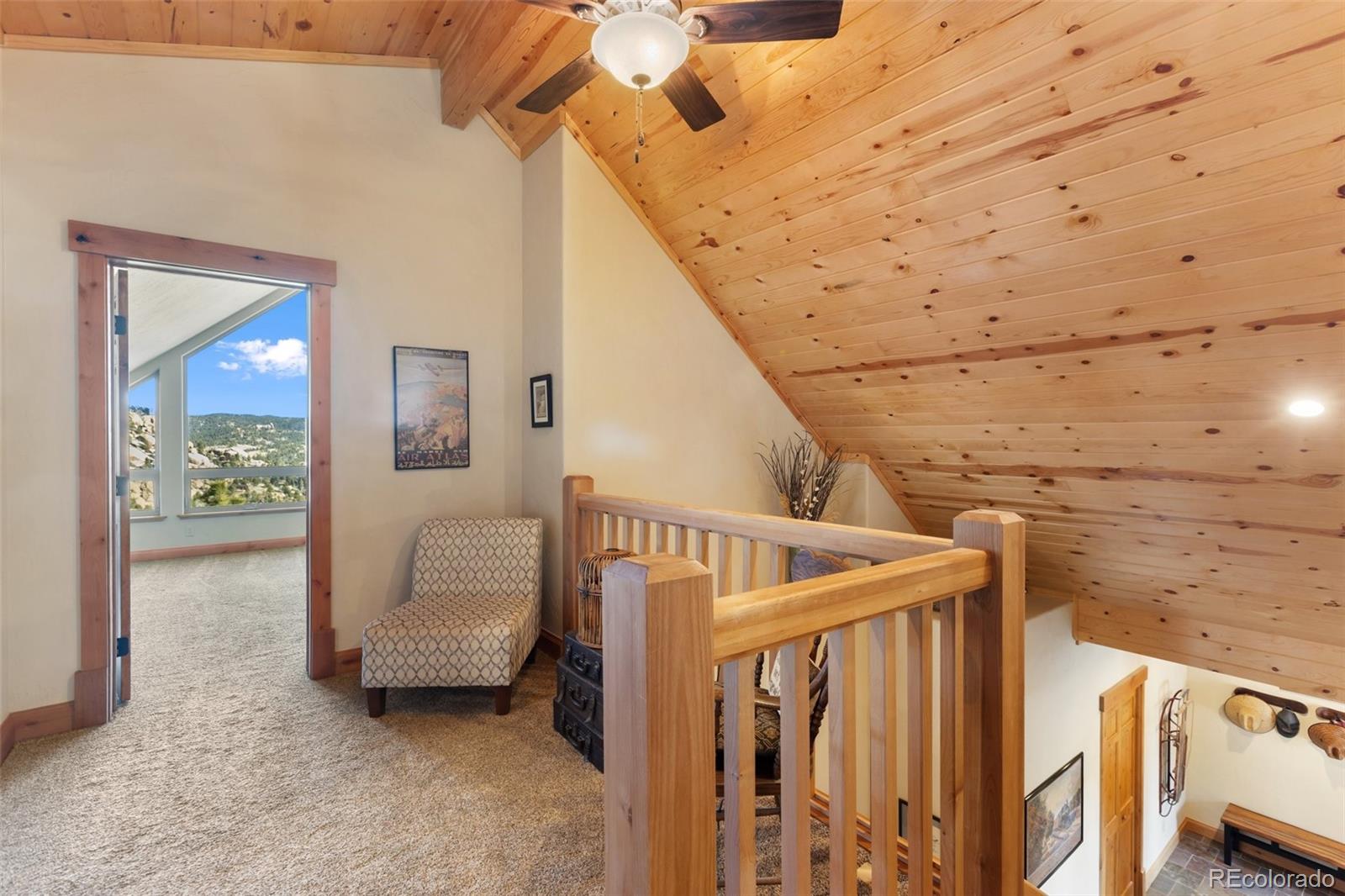 MLS Image #28 for 146  conifer circle,florissant, Colorado